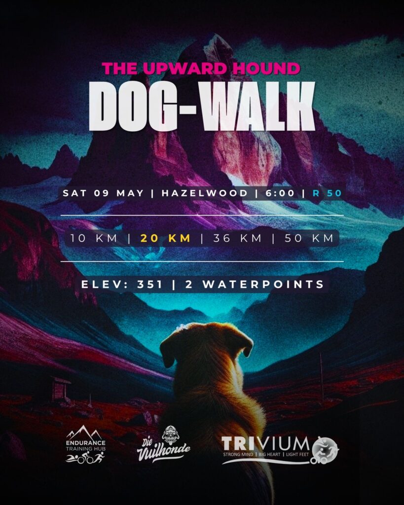 80dd522c-2896-4293-a457-9f672592ec04